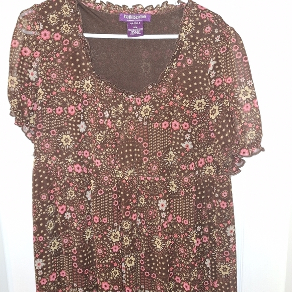Taillissime Brown Sheer Long Dress 14W - Picture 3 of 5
